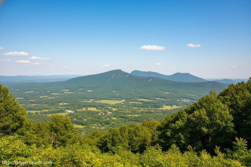 Land Shaping Service