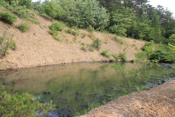 Pond Erosion Repair in Hendersonville